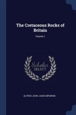 THE CRETACEOUS ROCKS OF BRITAIN; VOLUME