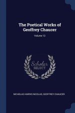 THE POETICAL WORKS OF GEOFFREY CHAUCER;