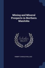 MINING AND MINERAL PROSPECTS IN NORTHERN