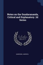 NOTES ON THE SUNDARANANDA, CRITICAL AND