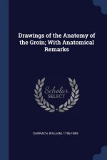 DRAWINGS OF THE ANATOMY OF THE GROIN; WI