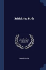 BRITISH SEA BIRDS