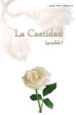 Castidad ?Posible?
