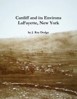 Cardiff and its Environs, LaFayette, New York