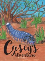 Casey's Adventure