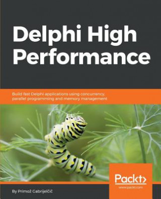 Delphi High Performance (Primoz Gabrijelcic)(Puha kötésű)