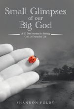 Small Glimpses of Our Big God