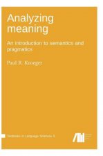 Analyzing meaning