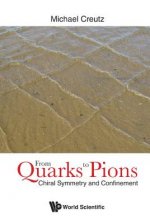 From Quarks To Pions: Chiral Symmetry And Confinement