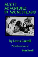 Alice's Adventures in Wonderland: Illustrated by Peter Newell