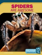 Spiders Are Awesome