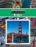 Infrastructure of America's Bridges