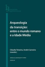 Arqueologia da Transiç?o: entre o mundo romano e a Idade Média