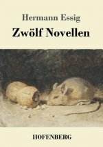 Zwoelf Novellen