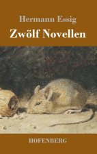 Zwoelf Novellen
