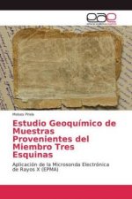 Estudio Geoquimico de Muestras Provenientes del Miembro Tres Esquinas