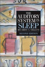 Auditory System in Sleep