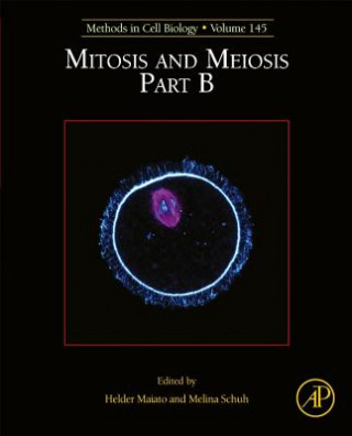Mitosis and Meiosis Part B