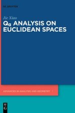 Q  Analysis on Euclidean Spaces