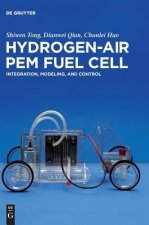 Hydrogen-Air PEM Fuel Cell