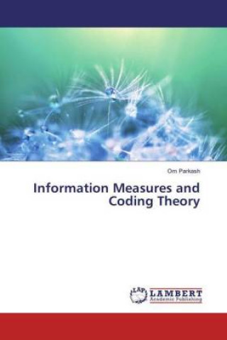 Information Measures and Coding Theory