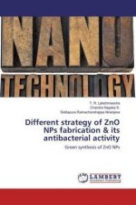 Different strategy of ZnO NPs fabrication & its antibacterial activity