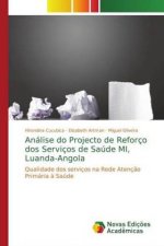 Analise do Projecto de Reforco dos Servicos de Saude MI, Luanda-Angola