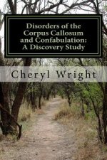 Disorders of the Corpus Callosum and Confabulation: A Discovery Study