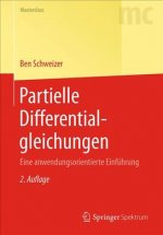 Partielle Differentialgleichungen
