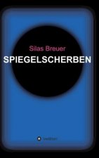 Spiegelscherben