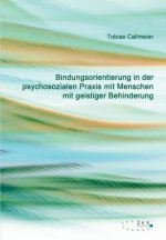 Bindungsorientierung in der psychosozialen Praxis mit Menschen mit geistiger Behinderung