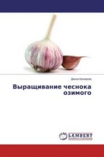 Vyrashhivanie chesnoka ozimogo