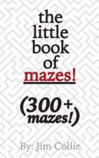 The little book of mazes