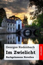 Im Zwielicht: Nachgelassene Novellen