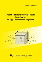 About an Extended Field Theory based on an Energy Conservation Approach