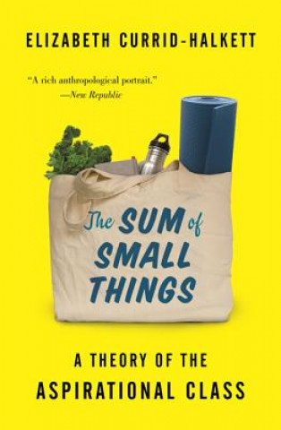 Sum of Small Things (Elizabeth Currid-Halkett)(Brožovaná)