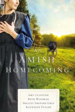Amish Homecoming