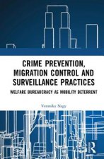 Crime Prevention, Migration Control and Surveillance Practices