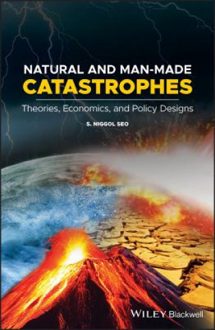 Natural and Man-made Catastrophes - Theories, Economics, and Policy Designs