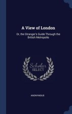 A VIEW OF LONDON: OR, THE STRANGER'S GUI