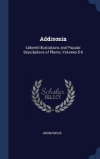 ADDISONIA: COLORED ILLUSTRATIONS AND POP