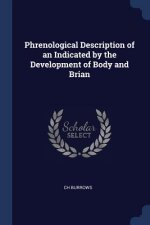 PHRENOLOGICAL DESCRIPTION OF AN INDICATE