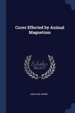CURES EFFECTED BY ANIMAL MAGNETISM