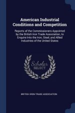 AMERICAN INDUSTRIAL CONDITIONS AND COMPE