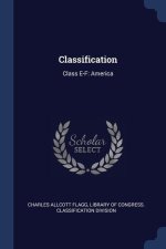 CLASSIFICATION: CLASS E-F: AMERICA