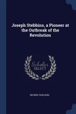 JOSEPH STEBBINS, A PIONEER AT THE OUTBRE