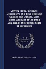 LETTERS FROM PALESTINE, DESCRIPTIVE OF A