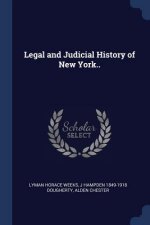 LEGAL AND JUDICIAL HISTORY OF NEW YORK..