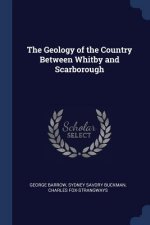 THE GEOLOGY OF THE COUNTRY BETWEEN WHITB