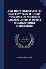 IS THE NEGRO MAKING GOOD? OR, HAVE FIFTY